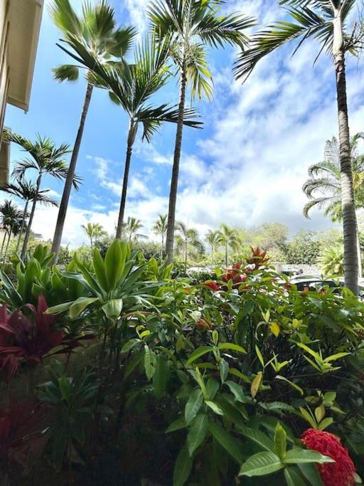 Amazing Condo Peaks Of Ocean View On Ali'I Dr By Surf Spots Kailua-Kona Buitenkant foto